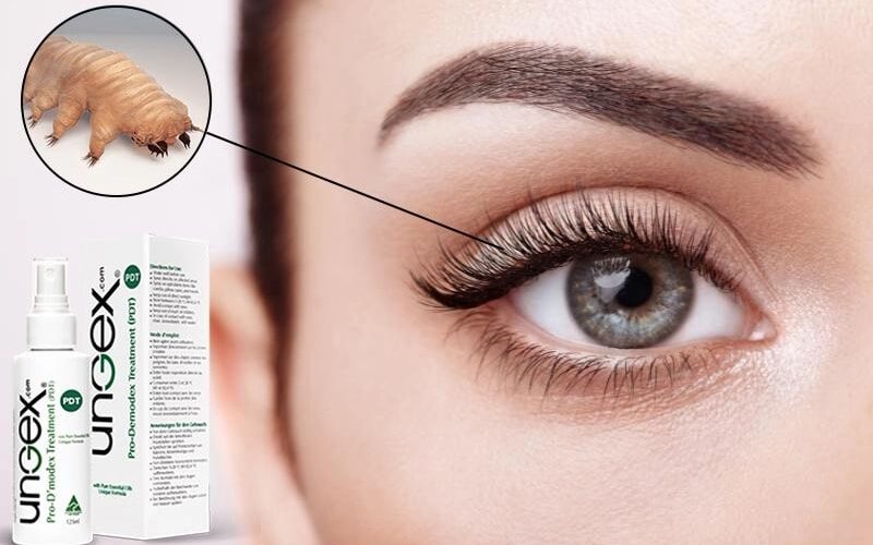 Närbild på ett öga med lashlift bredvid en Demodex-kvalster-illustration och Ungex-produkter.